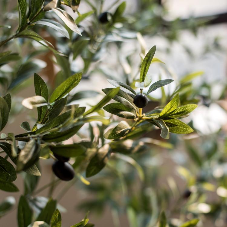 Artificial Silk Faux Olive Tree In Pot